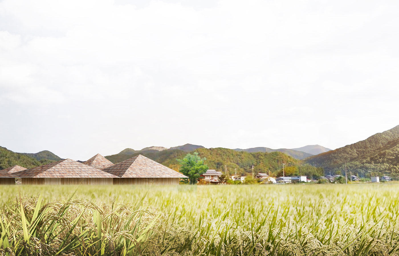 多賀町中央公民館コンペ応募案